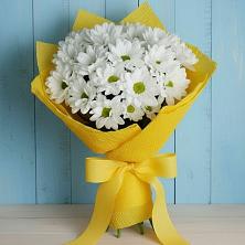 Букет цветов из:  Хризантемы в Хороле