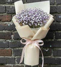Букет цветов из:  Гипсофила в Хороле