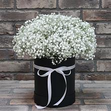 Цветочная композиция из Гипсофила в шляпной коробке в Хороле
