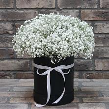 Цветочная композиция из Гипсофила в шляпной коробке в Хороле