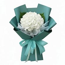 Букет цветов из:  Гортензия #REPLACE_PRED# Хороле